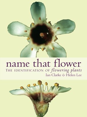 cover image of Name That Flower